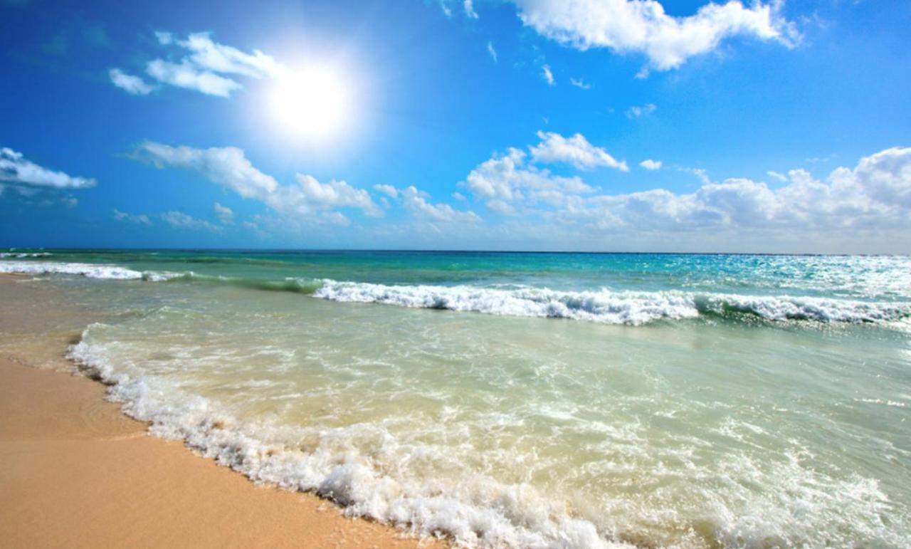 Amadeus XV 44 Studio Sunny Beach Centum Екстериор снимка
